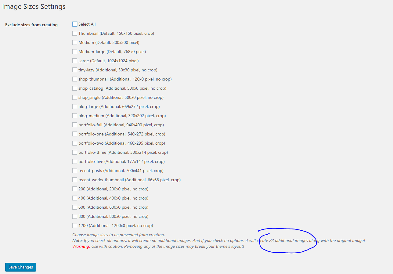 Image Sizes settings menu highlighting unnecessary image sizes during imports
