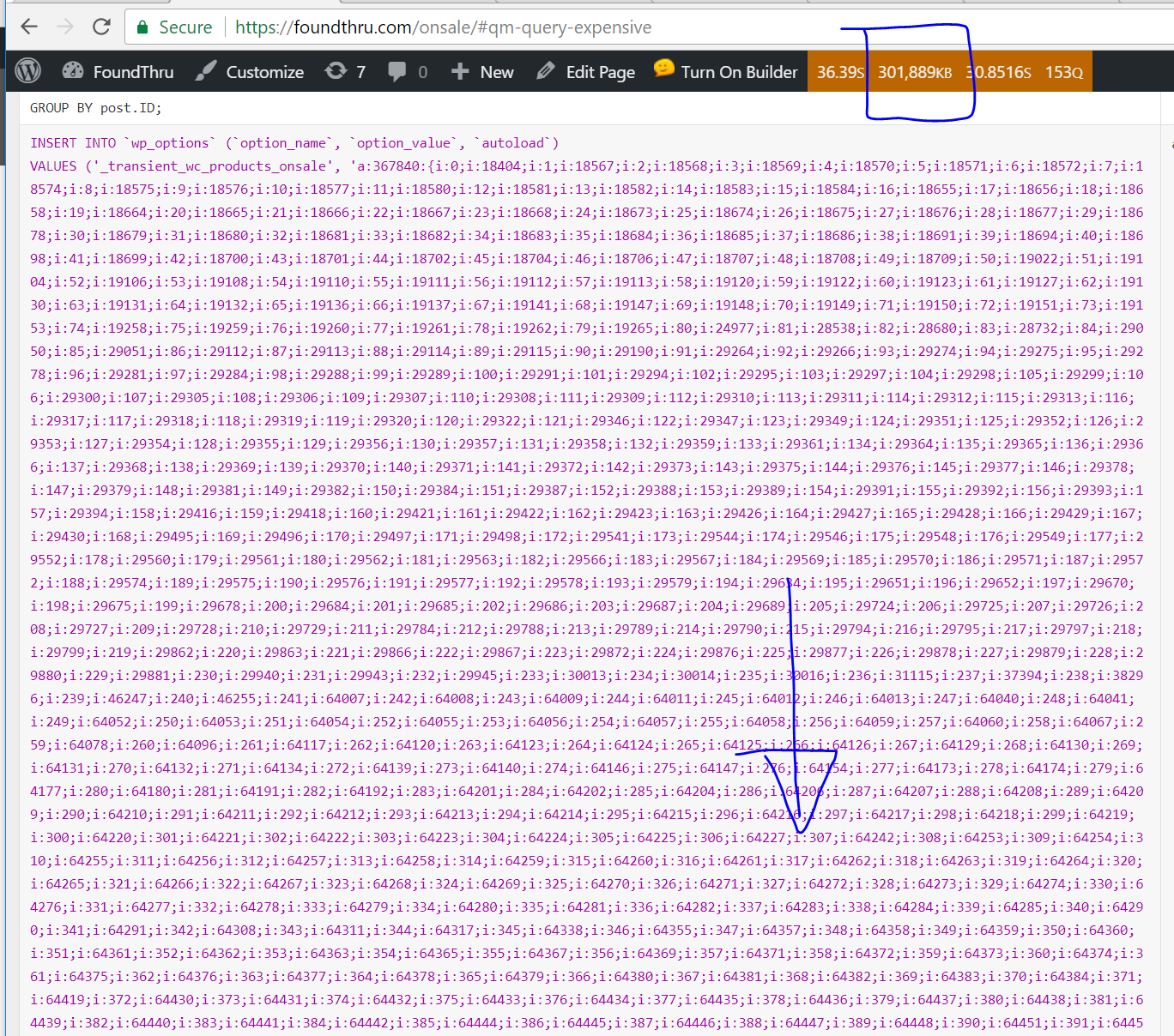 Expensive WooCommerce query showing high resource usage