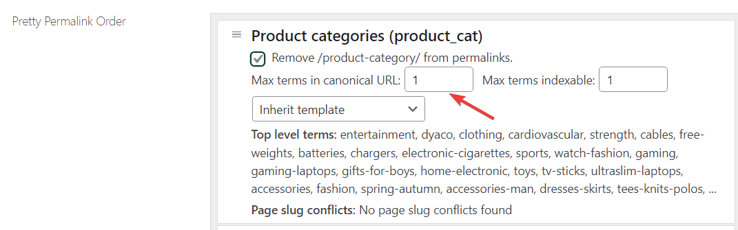 Screenshot highlighting the 'Max Terms in Canonical URL' field in Super Speedy Filters settings, with an arrow pointing to the input box where the maximum number of taxonomy terms for canonical URLs can be set.